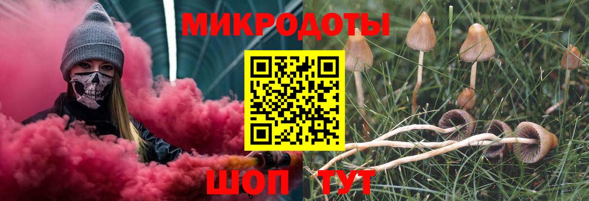 Псилоцибиновые грибы GOLDEN TEACHER  дарнет шоп  Чита  Вход с VPN 
